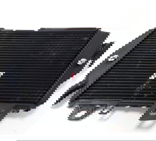 Par Radiador Triumph Tiger 900 Gt 20/23 Orig 40173