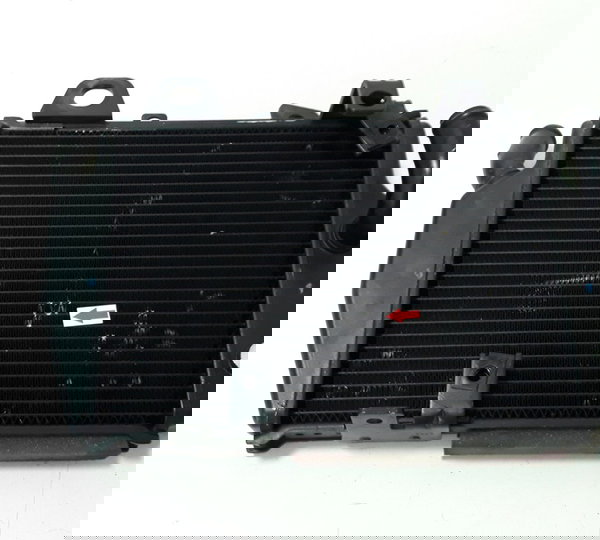 Par Radiador Triumph Tiger 900 Gt 20/23 Orig 40173