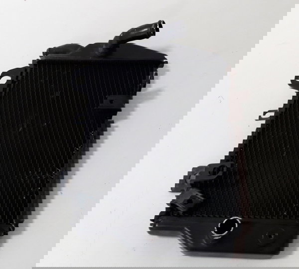 Par Radiador Triumph Tiger 900 Gt 20/23 Orig 40173