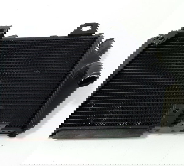 Par Radiador Triumph Tiger 900 Gt 20/23 Orig 40173