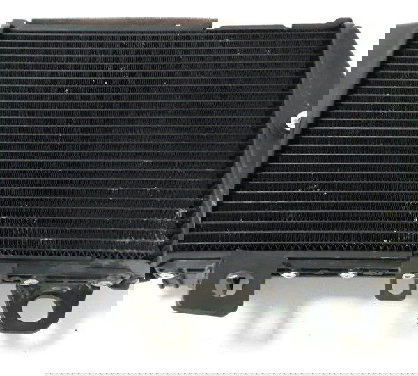 Par Radiador Triumph Tiger 900 Gt 20/23 Orig 40173