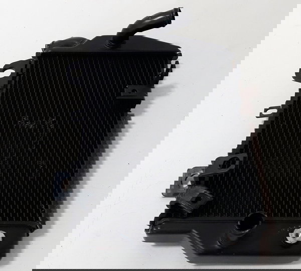 Radiador Triumph Tiger 900 Gt 20/23 L/e Orig 40174