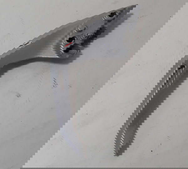 Alça Traseira Esquerdo Bmw G310 R Original Avaria 40302 Prateado