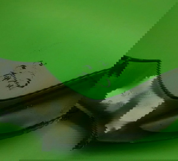 Aba Tanque Lado Esquerdo Bmw K 1300 R Original (2367) Não Se Aplica