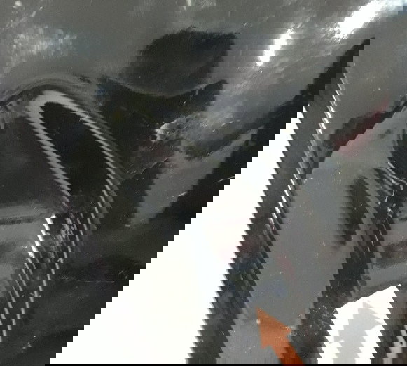 Carenagem Lateral Tanque Bmw S1000rr 20/22 L/d Avaria 706 Preto