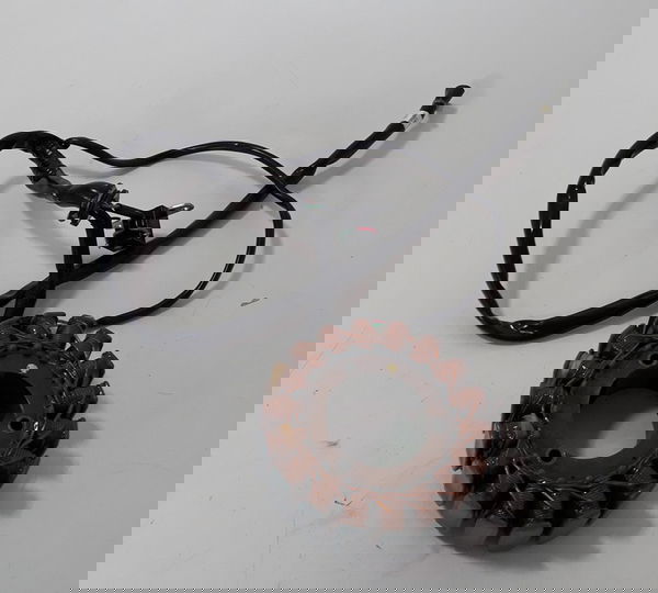 Estator Triumph Boneville Speed Twin Orig S/conector 40373