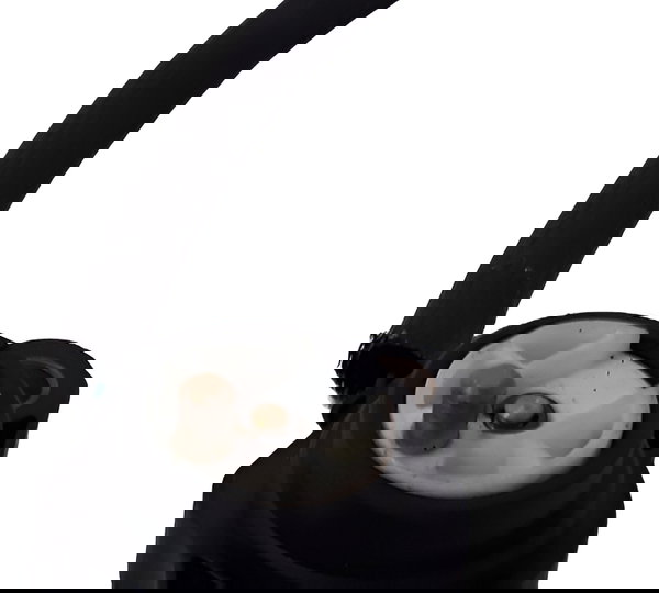 Sensor Neutro Triumph Tiger 800 2019 3 Fios Original 40395