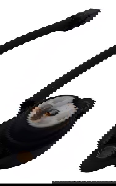 Sensor Neutro Triumph Tiger 800 2019 3 Fios Original 40395