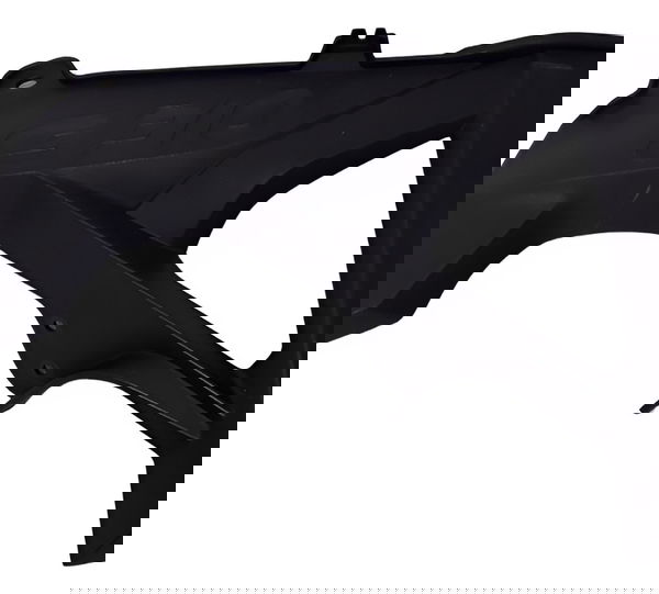 Acabamento Carenagem Radiador L/dir Bmw Gs 310 20 22 (29836) Preto