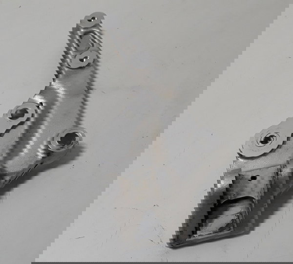 Bacalhau Dianteiro Esq Triumph Tiger 900 Gt Pro Orig 40380