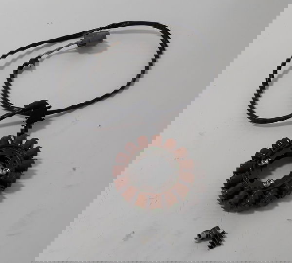 Estator Yamaha R1 09/14 Original 40722