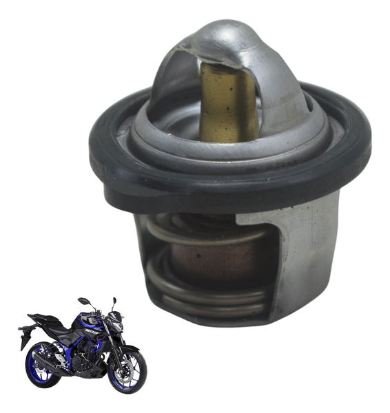 Válvula Termostática Yamaha Mt 03 16-19 Original