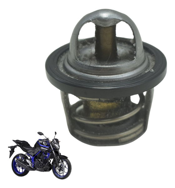 Válvula Termostática Yamaha Mt 03 16-19 Original