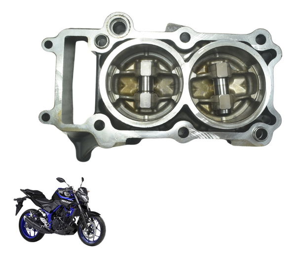 Cilindro Camisa C/ Pistão Anéis Yamaha Mt 03 16-19 Original