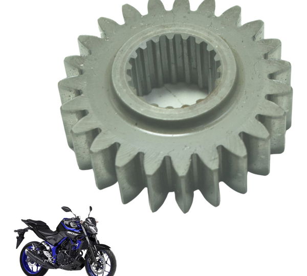 Engrenagem Motor Yamaha Mt 03 16-19 Original