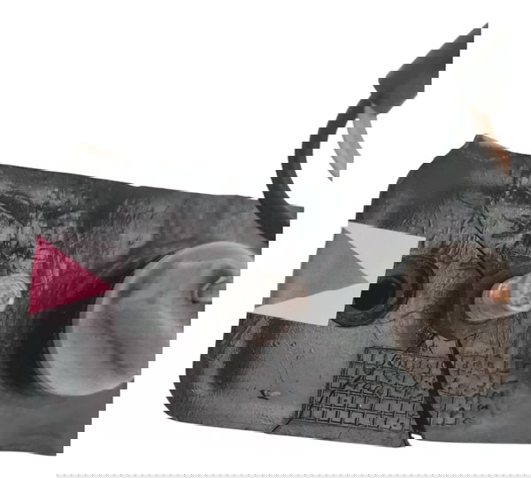 Luz Placa Buell Xb12x 2008 Original Quebrada 53268