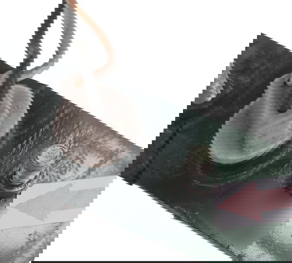 Luz Placa Buell Xb12x 2008 Original Quebrada 53268