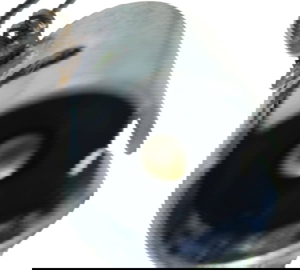 Chicote Pisca Tras Dir Suzuki Bandit 650 2010 Orig 52726