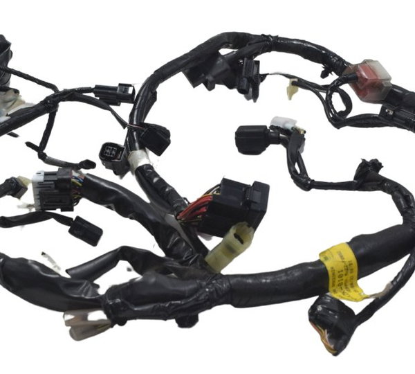 Chicote Principal Honda Cb 300f Twister 23-24 Original