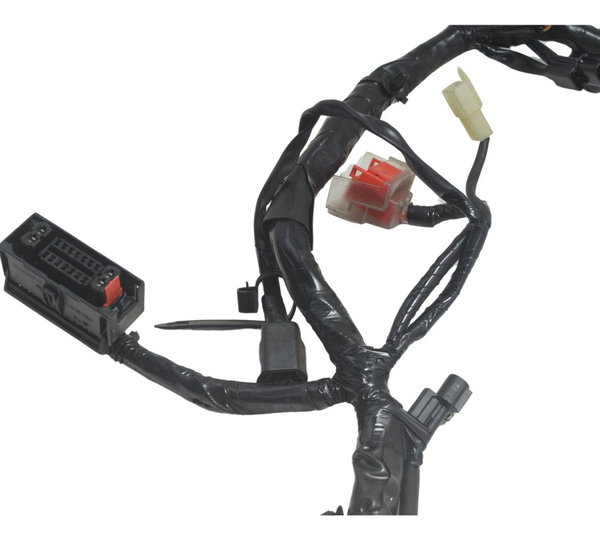 Chicote Principal Honda Cb 300f Twister 23-24 Original