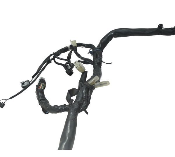 Chicote Principal Honda Cb 300f Twister 23-24 Original