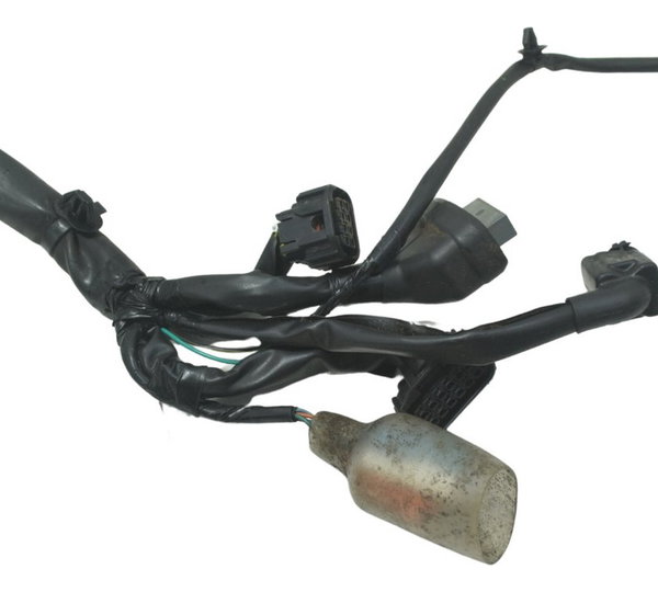 Chicote Principal Honda Cb 300f Twister 23-24 Original