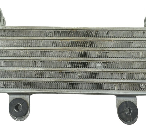 Radiador Honda Cb 300f Twister 23-24 Original