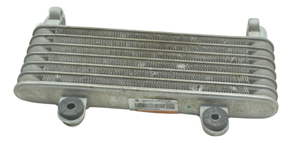 Radiador Honda Cb 300f Twister 23-24 Original