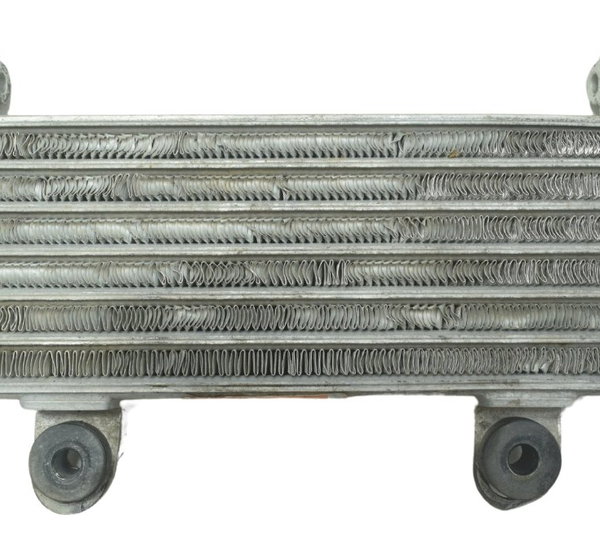 Radiador Honda Cb 300f Twister 23-24 Original