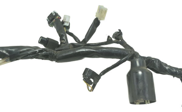 Chicote Principal Honda Cb 300f Twister 23-24 Original