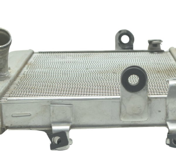 Radiador Yamaha Mt 07 15-18 Original