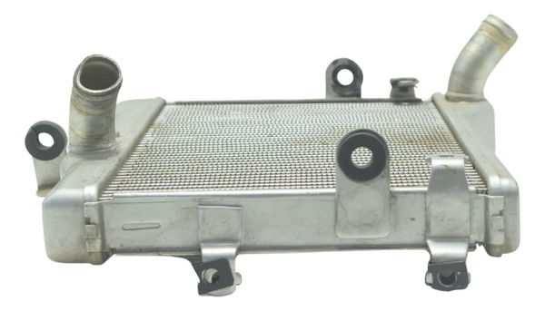 Radiador Yamaha Mt 07 15-18 Original