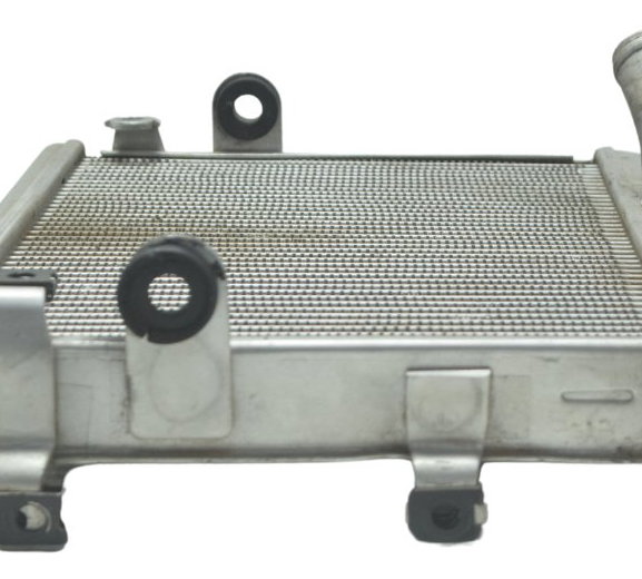 Radiador Yamaha Mt 07 15-18 Original
