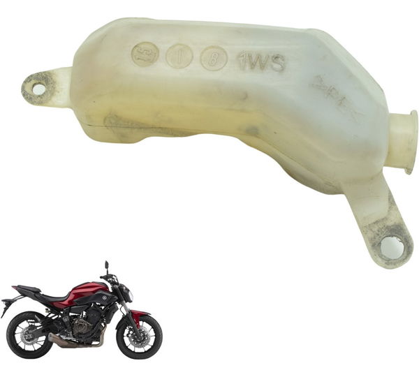 Reservatório Água Yamaha Mt 07 15-18 Original