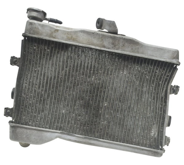 Radiador C/ Avaria Yamaha Mt 07 15-18 Original