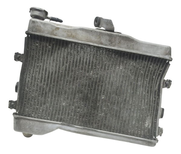 Radiador C/ Avaria Yamaha Mt 07 15-18 Original