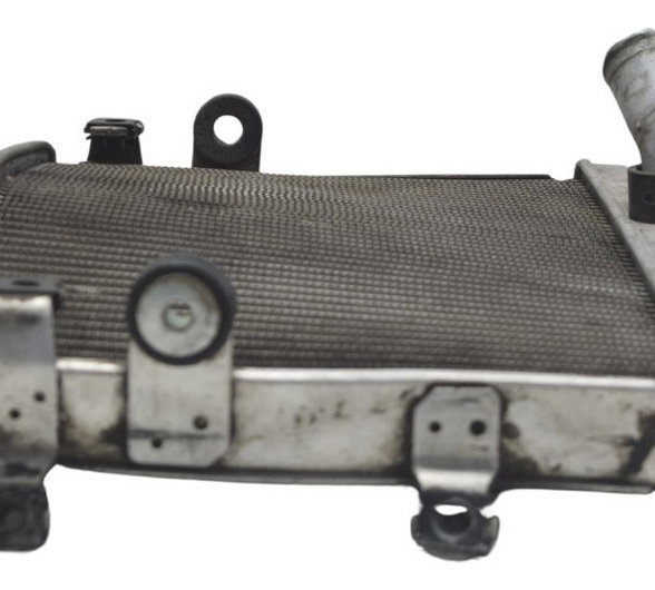 Radiador C/ Avaria Yamaha Mt 07 15-18 Original