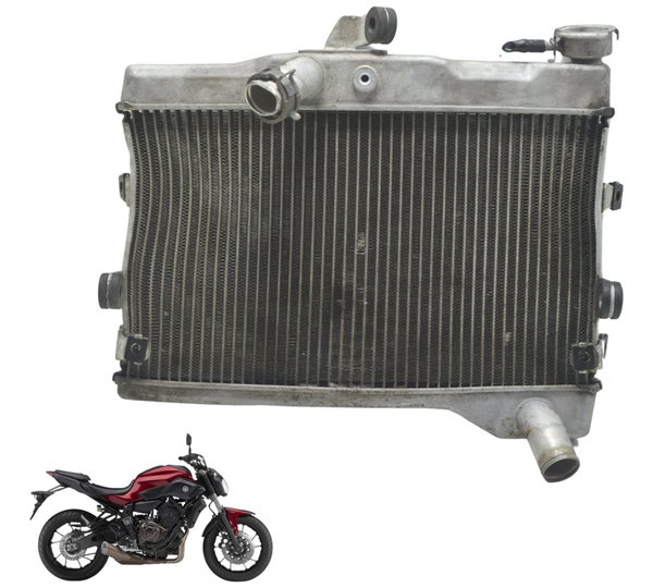 Radiador C/ Avaria Yamaha Mt 07 15-18 Original