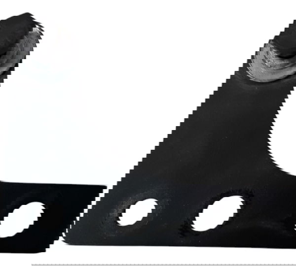 Suporte Reservatorio Agua Kawasaki Ninja 250 Orig 52605