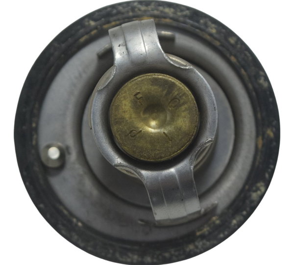 Válvula Termostática Yamaha Mt 07 15-18 Original