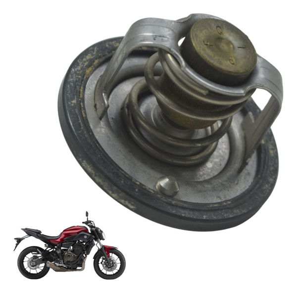 Válvula Termostática Yamaha Mt 07 15-18 Original
