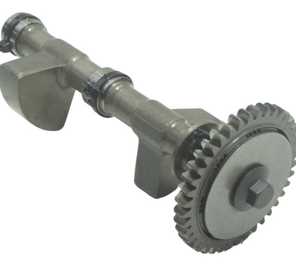 Balanceiro Virabrequim Yamaha Mt 07 15-18 Original