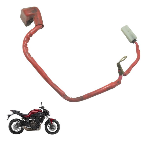 Cabo Bateria Yamaha Mt 07 15-18 Original