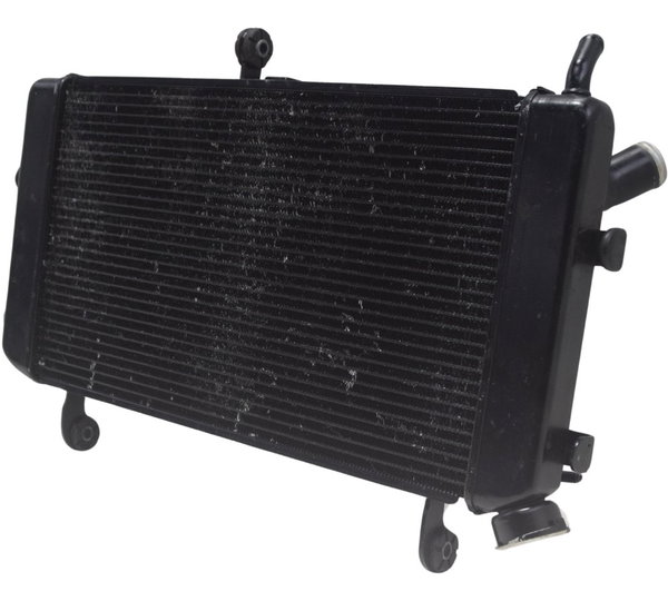 Radiador Suzuki Gsxs Gsx-s 750 18-23 Original