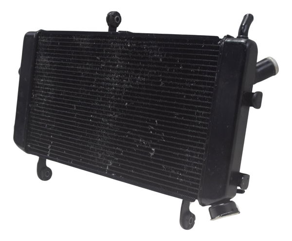 Radiador Suzuki Gsxs Gsx-s 750 18-23 Original