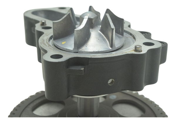Bomba Da Água Kawasaki Ninja Z 400 2020 Original