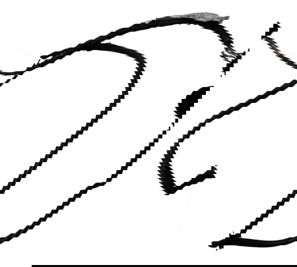 Chicote Neutro Oleo Honda Cbr 600f 12/14 Orig 52161