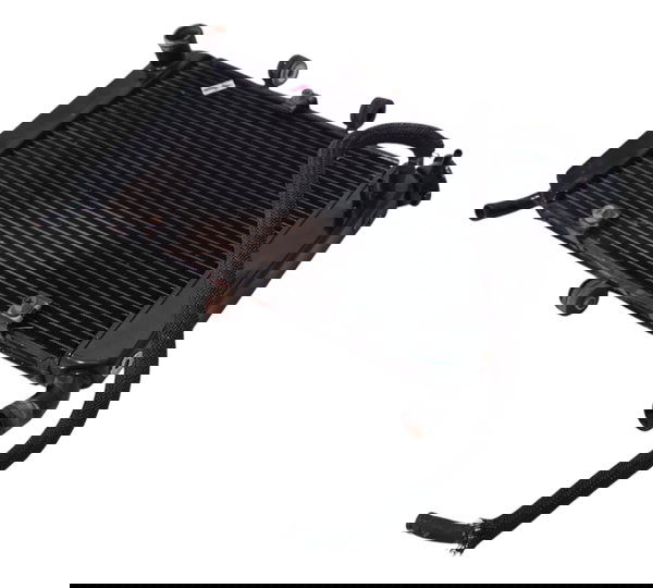 Radiador Yamaha Fazer 600 07/08 Orig Descrição 50143