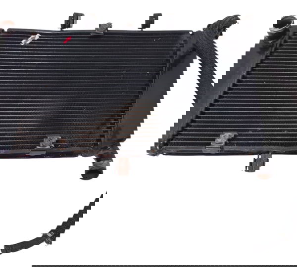 Radiador Yamaha Fazer 600 07/08 Orig Descrição 50143