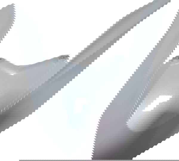 Carenagem Frontal Bolha Honda Pcx 160 23/25 Descrição 51632 Branco